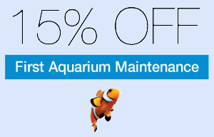 15% Off Fish Tank Maintenance For Your Home Or Business In The Saint Louis Area